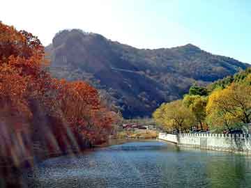 正版澳门天天开彩大全，田园风情生态鱼缸